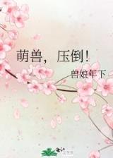 毒医皇妃 作者：江苏快三手机版