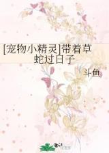 龙王的女婿txt在线 作者：uu快3