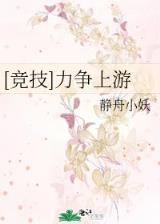 机巧少女不会受伤小说 作者：DA发快三彩票